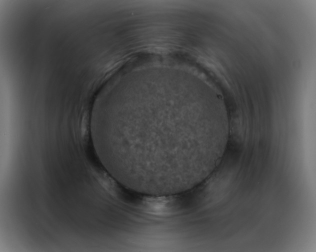 X0000088390131200705221122