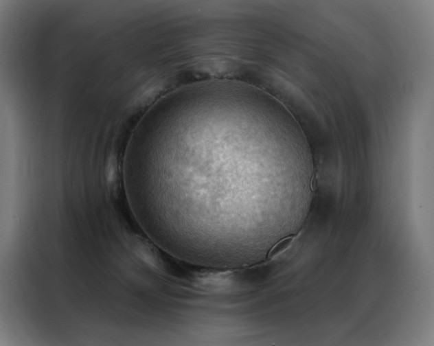 X0000088390132200705221122