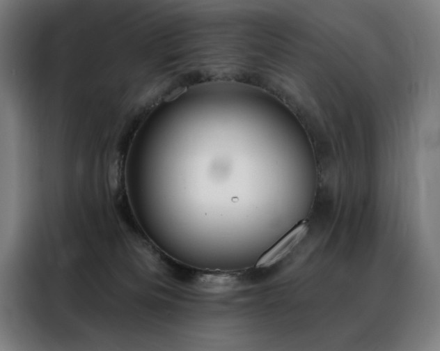 X0000088390133200705221122