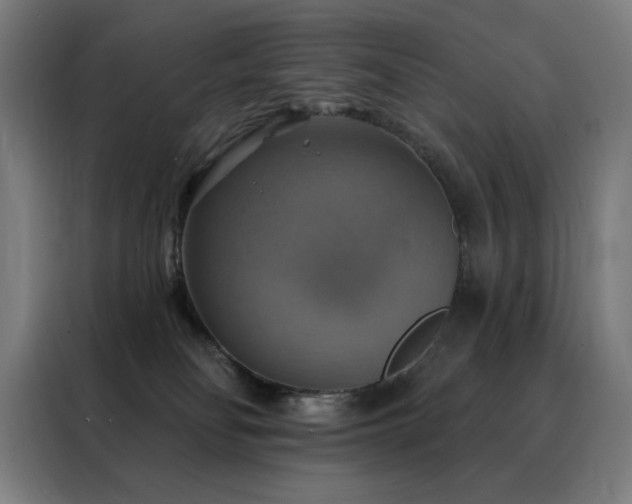 X0000088390134200705221122