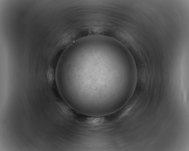 X0000088390135200705221122