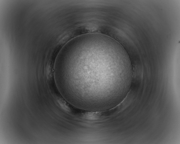 X0000088390136200705221122