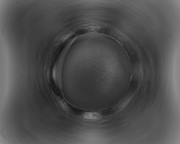 X0000088390137200705221122