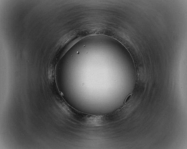 X0000088390138200705221122