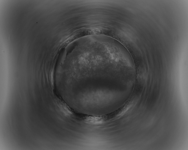 X0000088390139200705221122