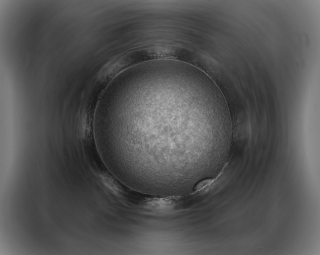 X0000088390140200705221122