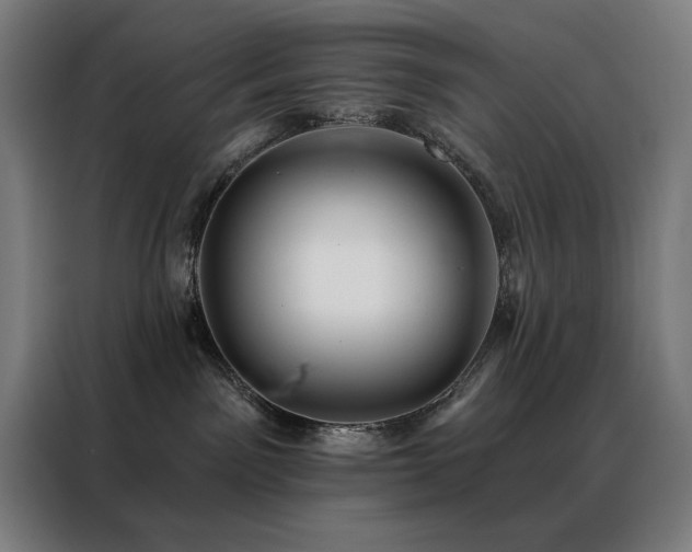 X0000088390141200705221122