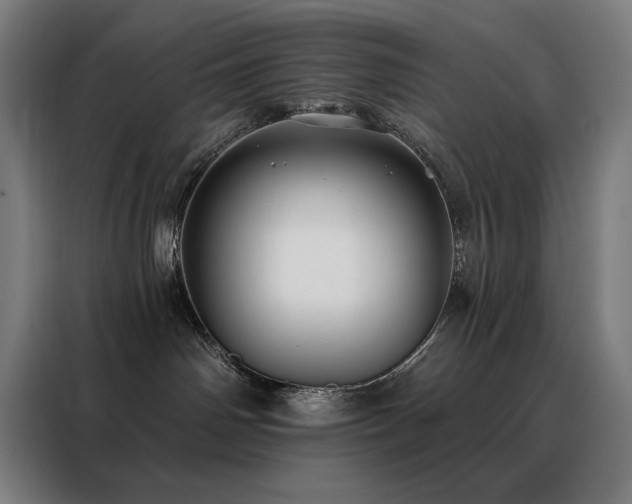 X0000088390142200705221122