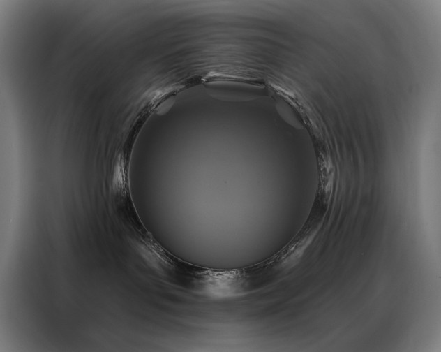 X0000088390143200705221122