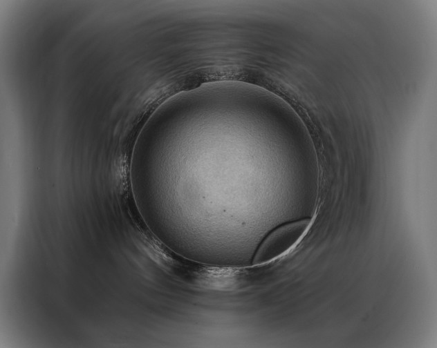 X0000088390144200705221122