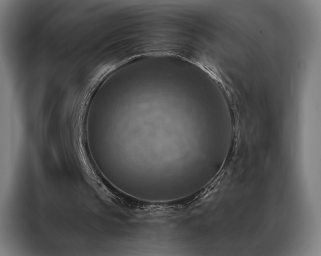 X0000088390145200705221121