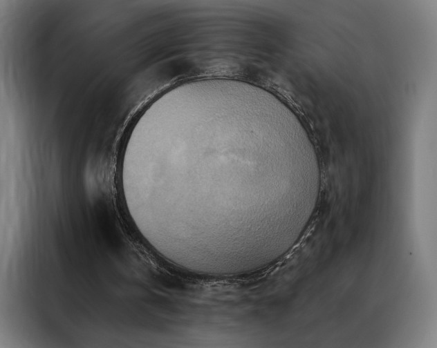 X0000088390146200705221121