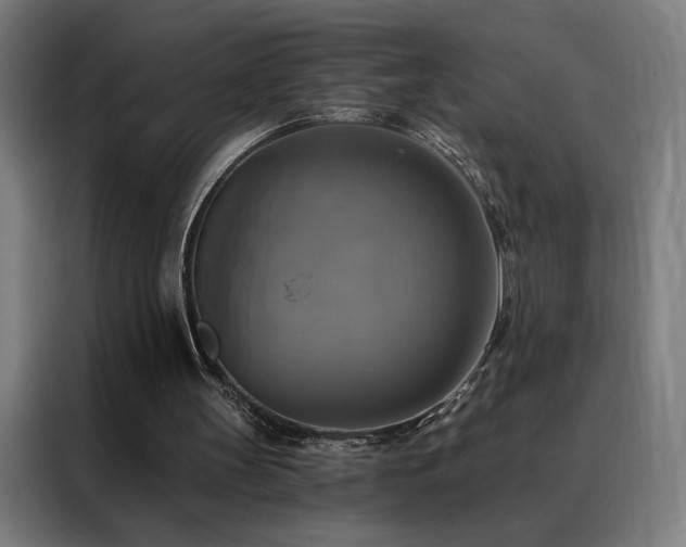 X0000088390147200705221121