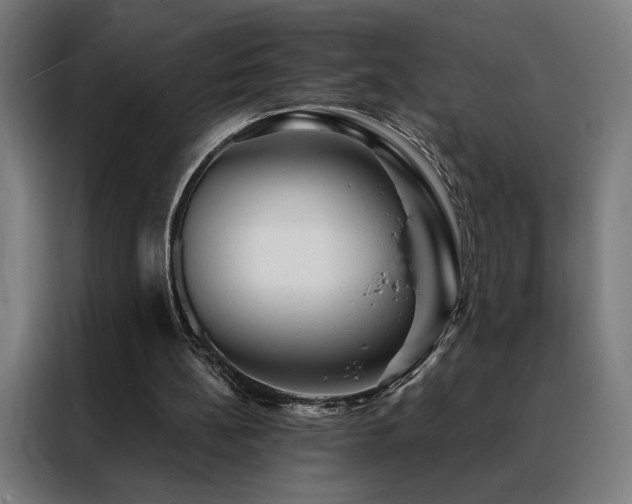 X0000088390148200705221121