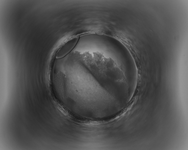 X0000088390149200705221121