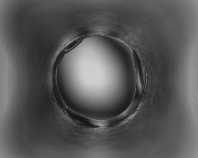 X0000088390150200705221121