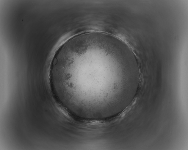 X0000088390151200705221121