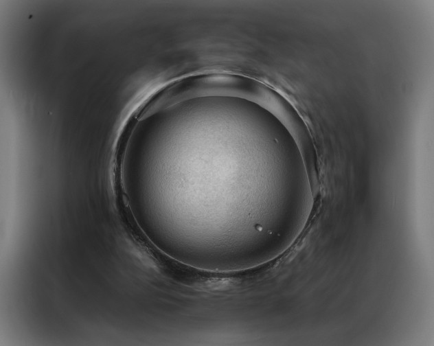 X0000088390152200705221121