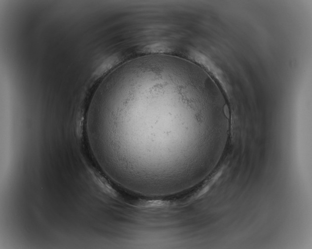 X0000088390153200705221121