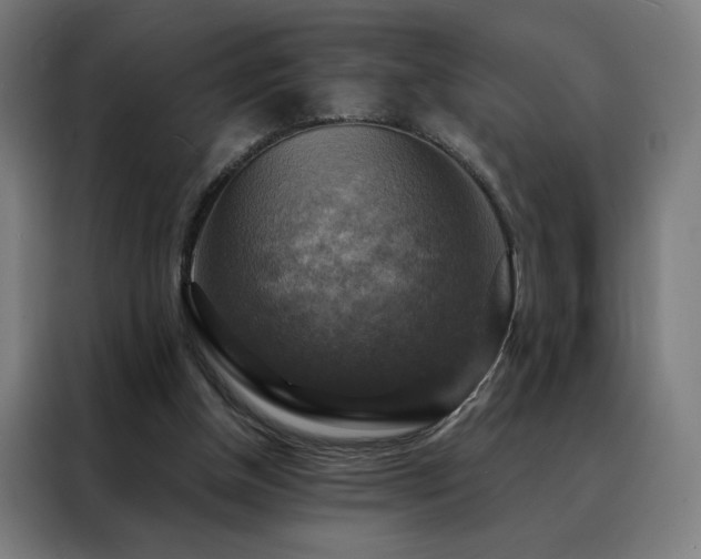 X0000088390154200705221121