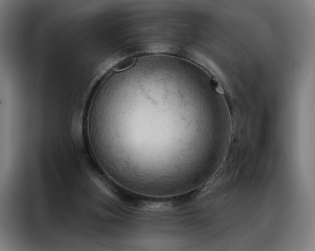 X0000088390155200705221121