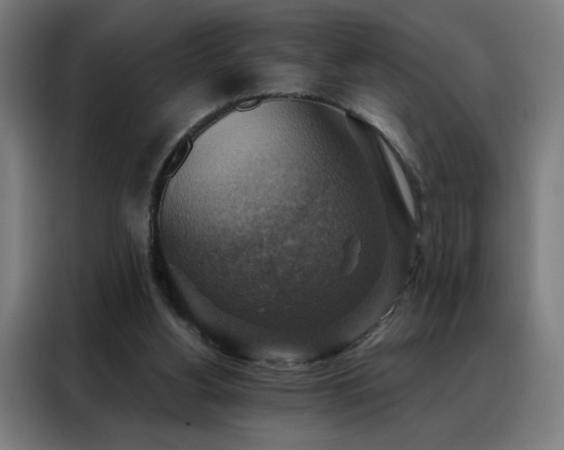 X0000088390156200705221121