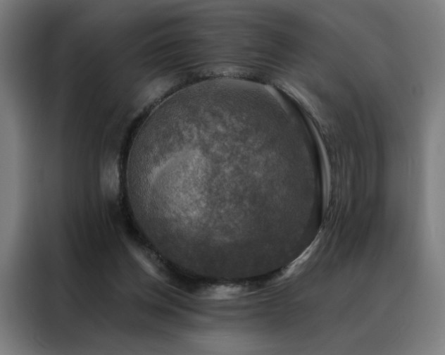 X0000088390158200705221121