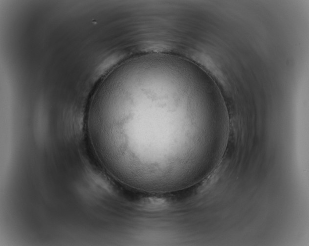 X0000088390159200705221121