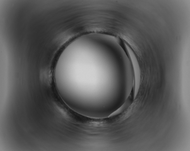 X0000088390160200705221121