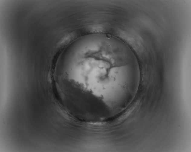 X0000088390161200705221121