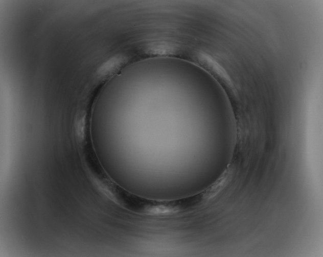 X0000088390163200705221121