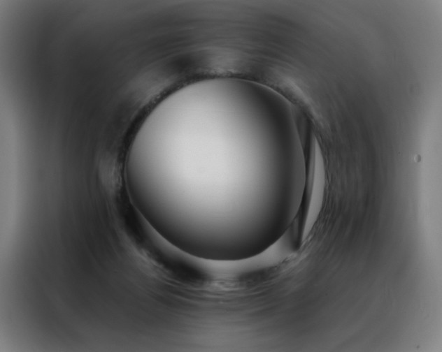 X0000088390164200705221121