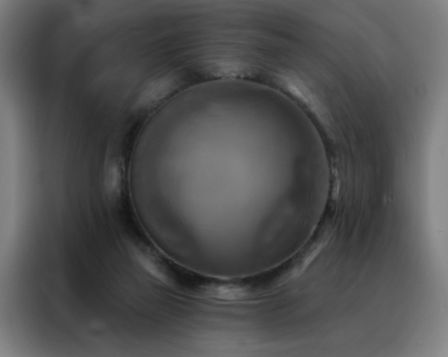 X0000088390165200705221121