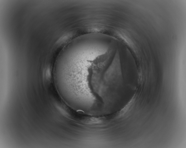 X0000088390166200705221121