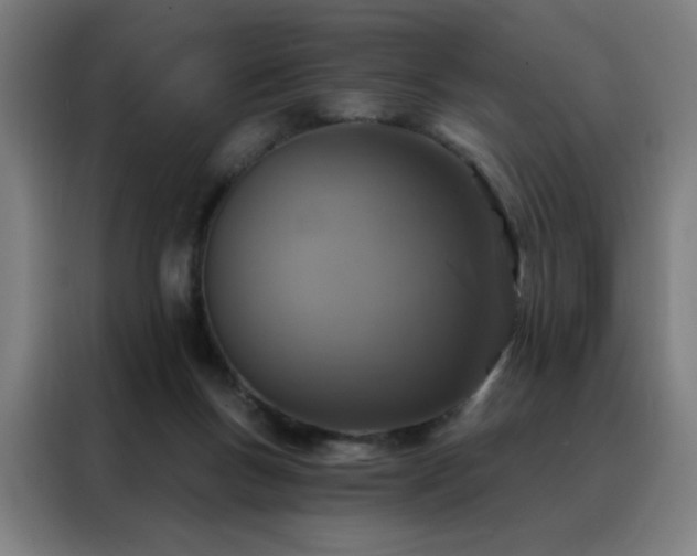 X0000088390167200705221121