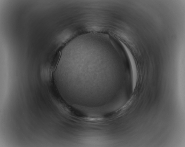 X0000088390168200705221121