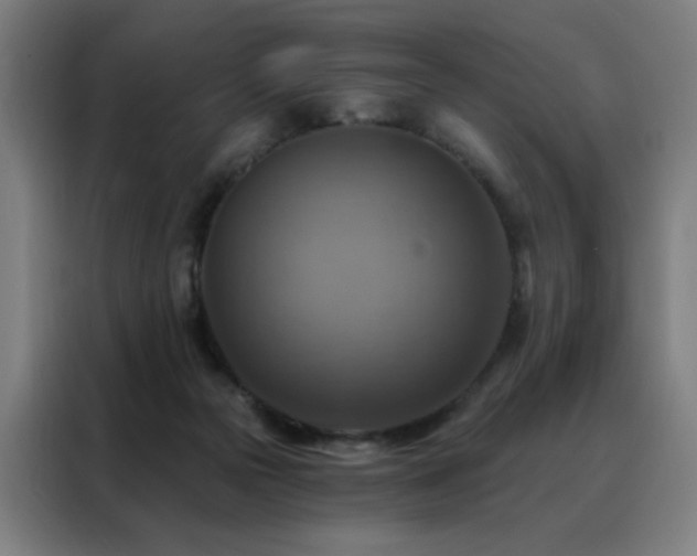 X0000088390169200705221121