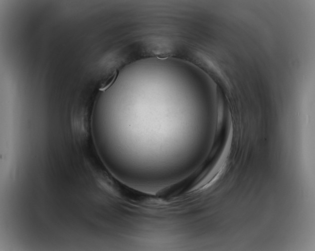 X0000088390170200705221121