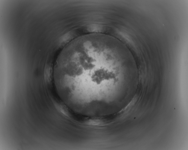 X0000088390171200705221122