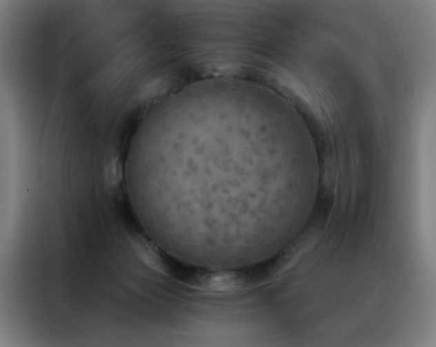 X0000088390173200705221122