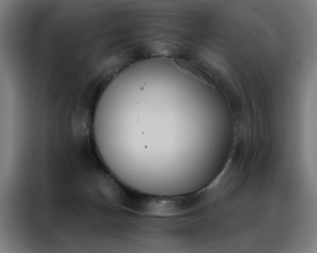 X0000088390174200705221122