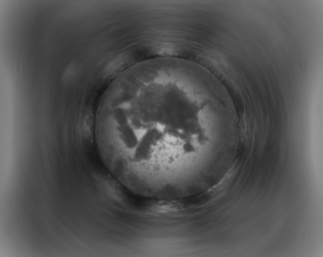 X0000088390175200705221122