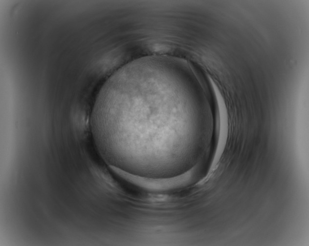 X0000088390176200705221122