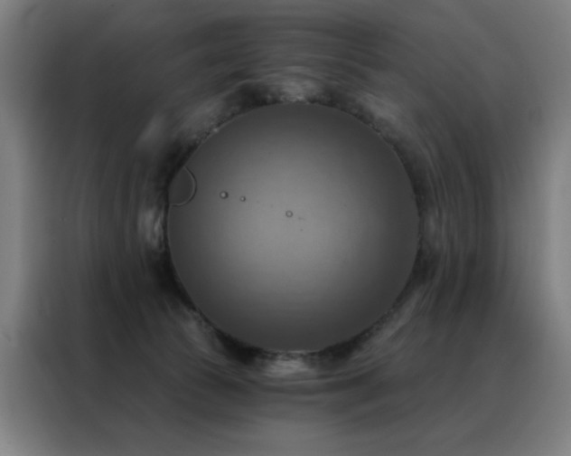 X0000088390177200705221122