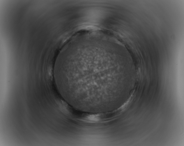 X0000088390178200705221122