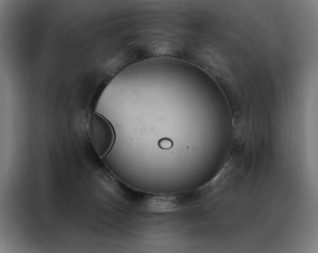 X0000088390179200705221122