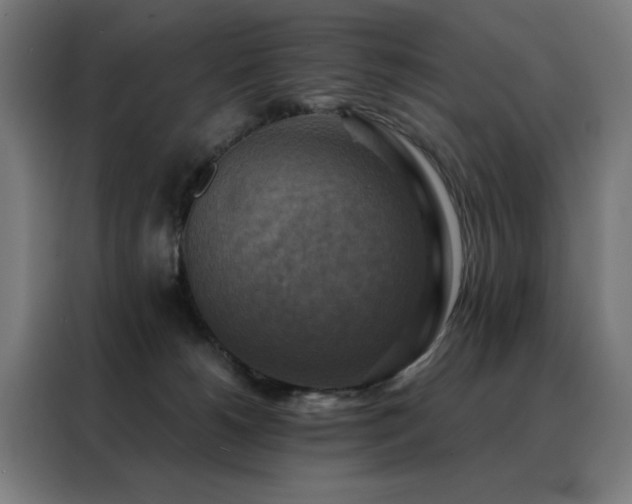 X0000088390180200705221122