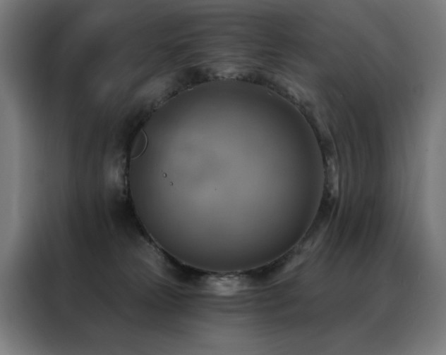 X0000088390181200705221122