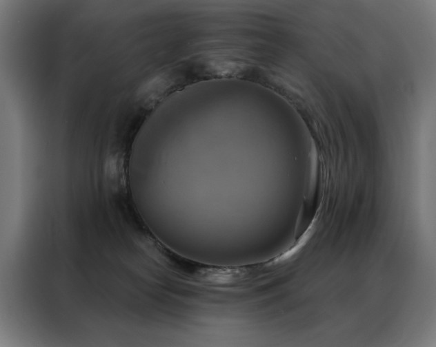 X0000088390182200705221122