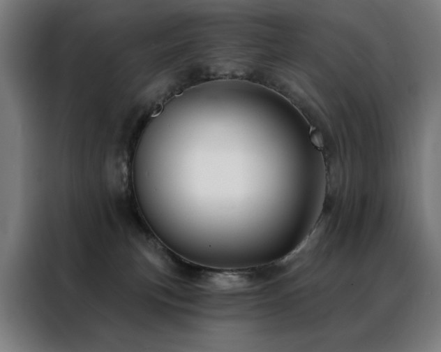 X0000088390183200705221122